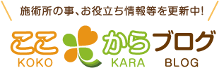 ここからブログ